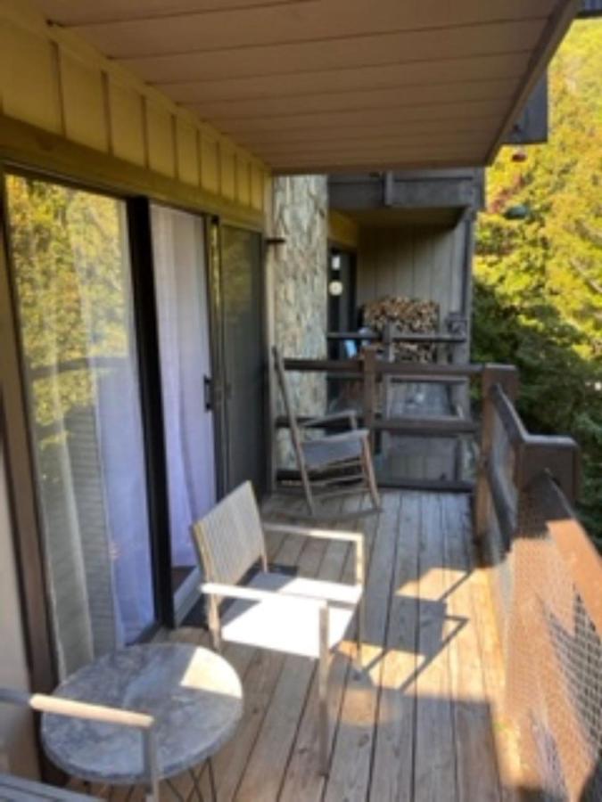 Bearadise Retreat At English Mountain Condo 세비어빌 외부 사진